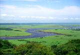 琵琶瀬展望台から望む湿原
