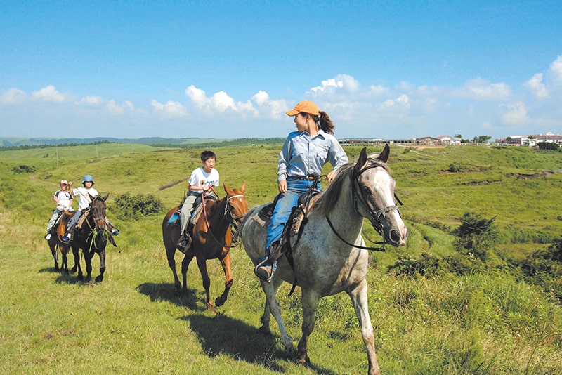 ホーストレッキング